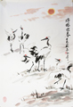 dvd_and_books/red_crowned_crane02_S.jpg