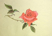Recording of the Rose Gongbi Painting Workshop DOWNLOAD