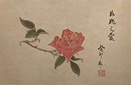 dvd_and_books/rosepaintingclass_S.jpg