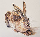 Remake of Albrecht Durer's 1502 Young Hare Rabbit on Silk