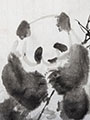 Panda Holding a Bamboo, Peace for Two (10x14) unmounted
