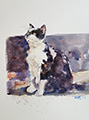 gallery/Animal_Painting/penny_s.jpg