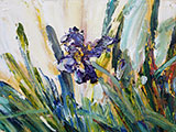 gallery/Flower_and_Birds/20200420_iris02_S.jpg