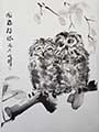 Two Young Ural Owls Leaning Together on One Branch by Henry Li
