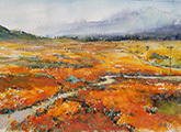 Poppy Fields at Antelope Valley