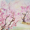 Tiger Hidden in the Cherry Blossom(2022)