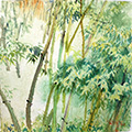 Bamboo Grove with Hidden Tiger 2022 #2