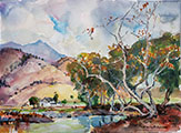 California Landscape with Sycamore Trees(12x9)