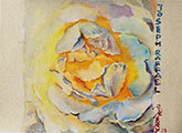 A White Rose in Morning Sunshine WC on Silk