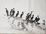 10 Cormorants Perching on Driftwood