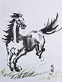 A Running Fire Horse on Grassland (13x9) #1