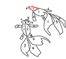 outlined_golgfish_S.jpg