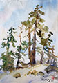 Watercolor Pines on Rice paper 2021 #5