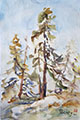 Watercolor Pines on Rice paper 2021 #3
