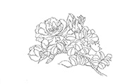 scrolls_and_shikishi_board/Rose_Class2_S.jpg